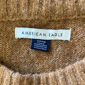 American Eagle Outfitters Brown Crewneck Sweater